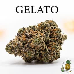 Gelato cannabis strain