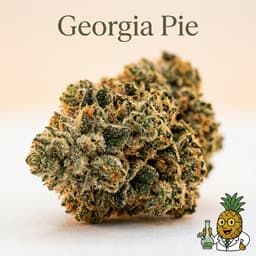 Georgia Pie cannabis strain