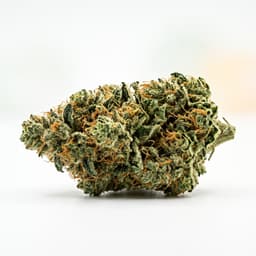 Ghost Train Haze cannabis strain