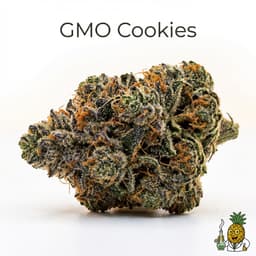 GMO Cookies cannabis strain