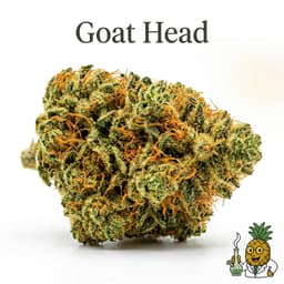 Goat Head cannabis strain