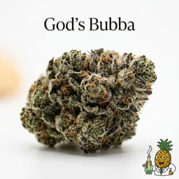 God's Bubba cannabis strain