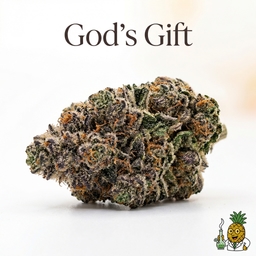 God's Gift cannabis strain