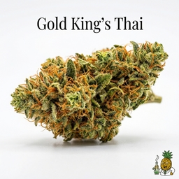 Gold King's Thai cannabis strain