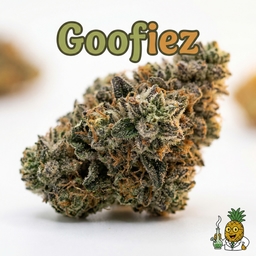Goofiez cannabis strain