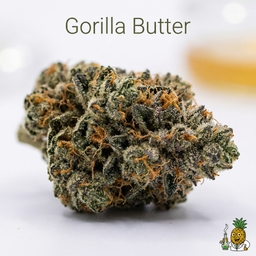Gorilla Butter cannabis strain
