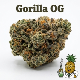 Gorilla OG cannabis strain