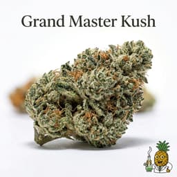 Grand Master Kush cannabis strain