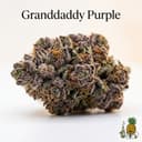 Granddaddy Purple