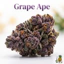 Grape Ape