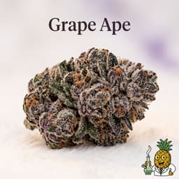 Grape Ape cannabis strain