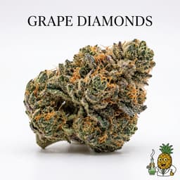 Grape Diamonds cannabis strain