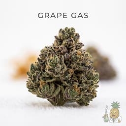 Grape Gas cannabis strain