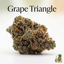 Grape Triangle cannabis strain