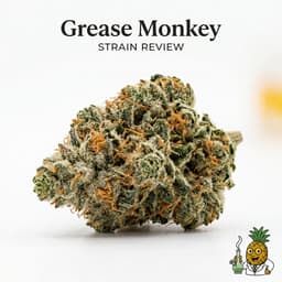 Grease Monkey cannabis strain