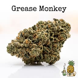 Grease Monkey cannabis strain