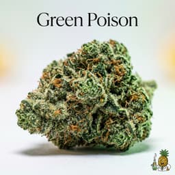 Green Poison cannabis strain