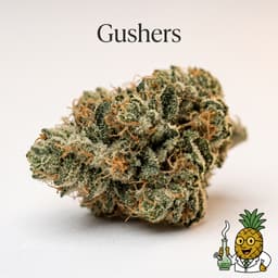 Gushers cannabis strain