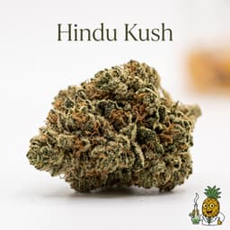 Hindu Kush cannabis strain