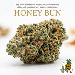 Honey Bun cannabis strain