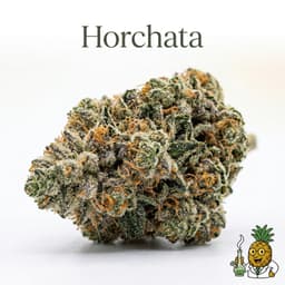 Horchata cannabis strain