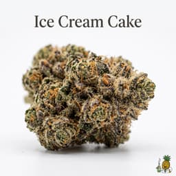 Ice Cream Cake cannabis strain
