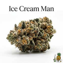 Ice Cream Man cannabis strain