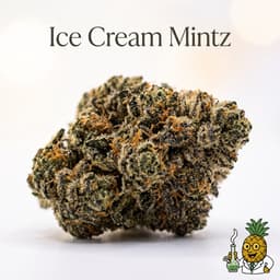 Ice Cream Mintz cannabis strain