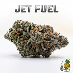Jet Fuel cannabis strain