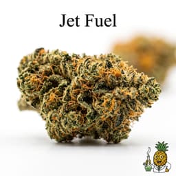 Jet Fuel cannabis strain