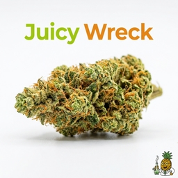 Juicy Wreck cannabis strain