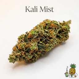 Kali Mist cannabis strain