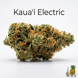 Kauaβi Electric cannabis strain