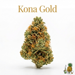 Kona Gold cannabis strain