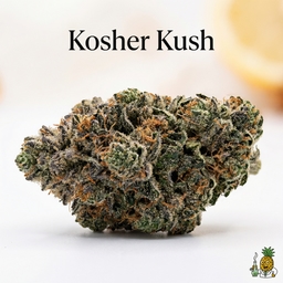 Kosher Kush cannabis strain