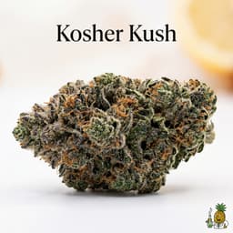 Kosher Kush cannabis strain