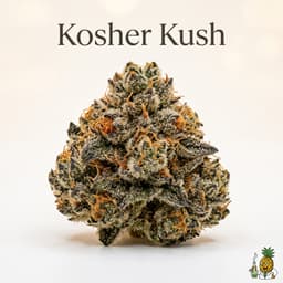 Kosher Kush cannabis strain