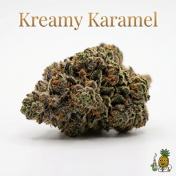 Kreamy Karamel cannabis strain