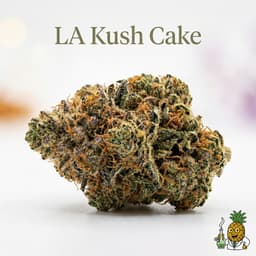 LA Kush Cake cannabis strain