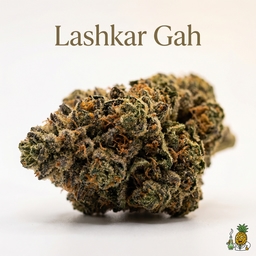 Lashkar Gah cannabis strain