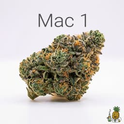 Mac 1 cannabis strain