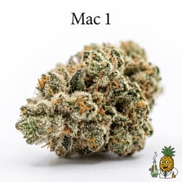 Mac 1 cannabis strain