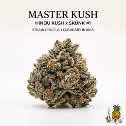 Master Kush cannabis strain