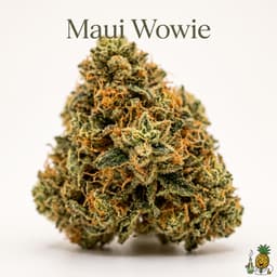 Maui Wowie cannabis strain