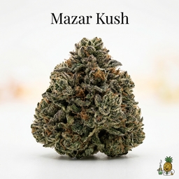 Mazar Kush cannabis strain