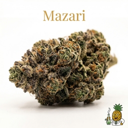Mazari cannabis strain