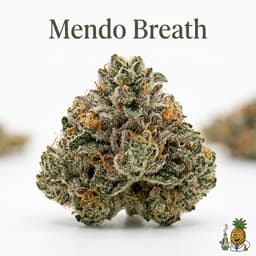 Mendo Breath cannabis strain