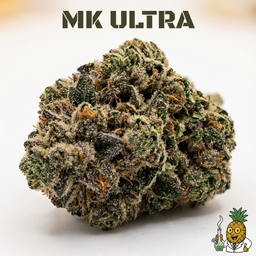 MK Ultra cannabis strain