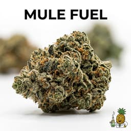 Mule Fuel bud