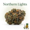Northern Lights